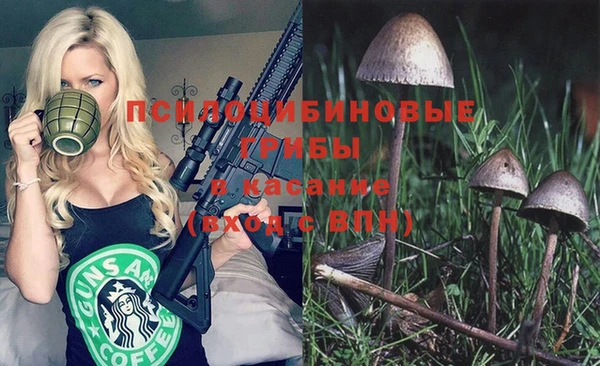 2c-b Абдулино