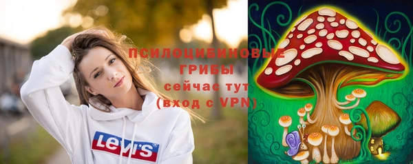 2c-b Абдулино
